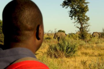 Botswana Reise Viktoria deutschsprachig