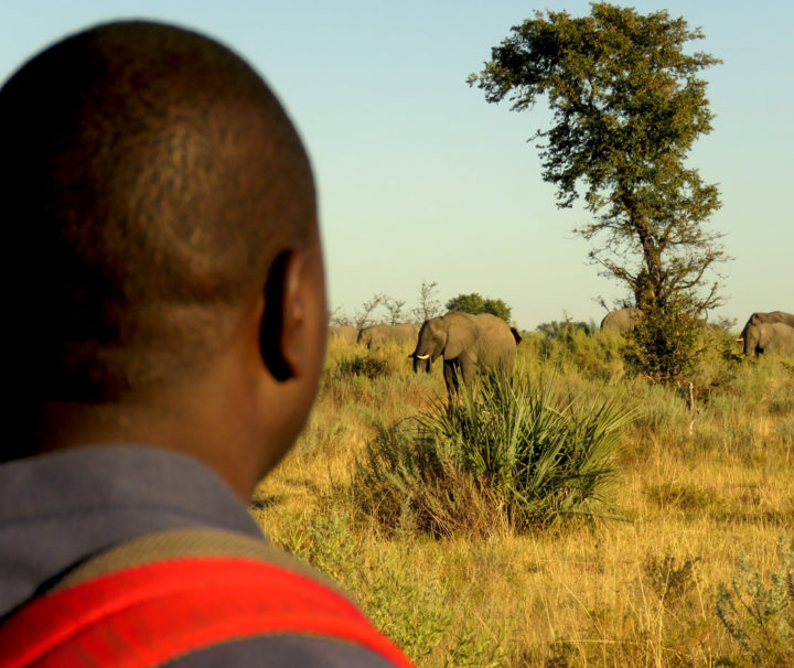 Botswana Reise Viktoria deutschsprachig